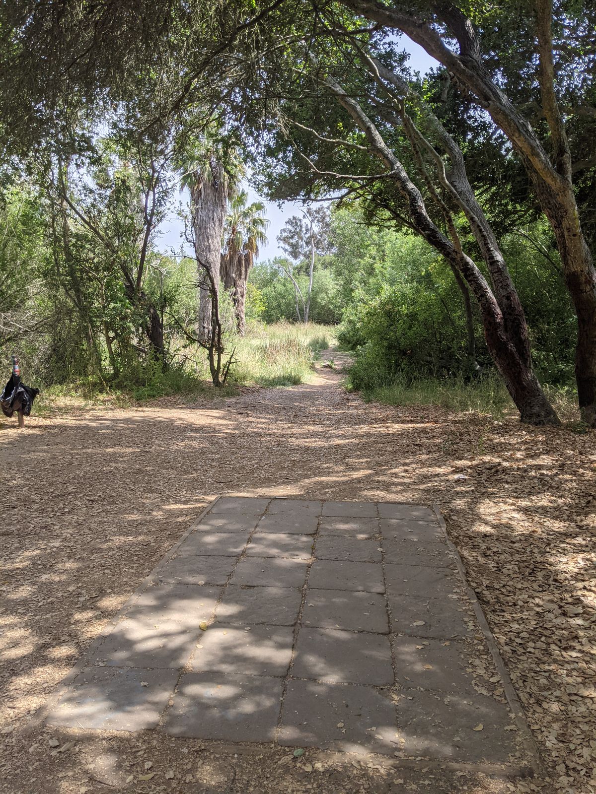 Hole 15