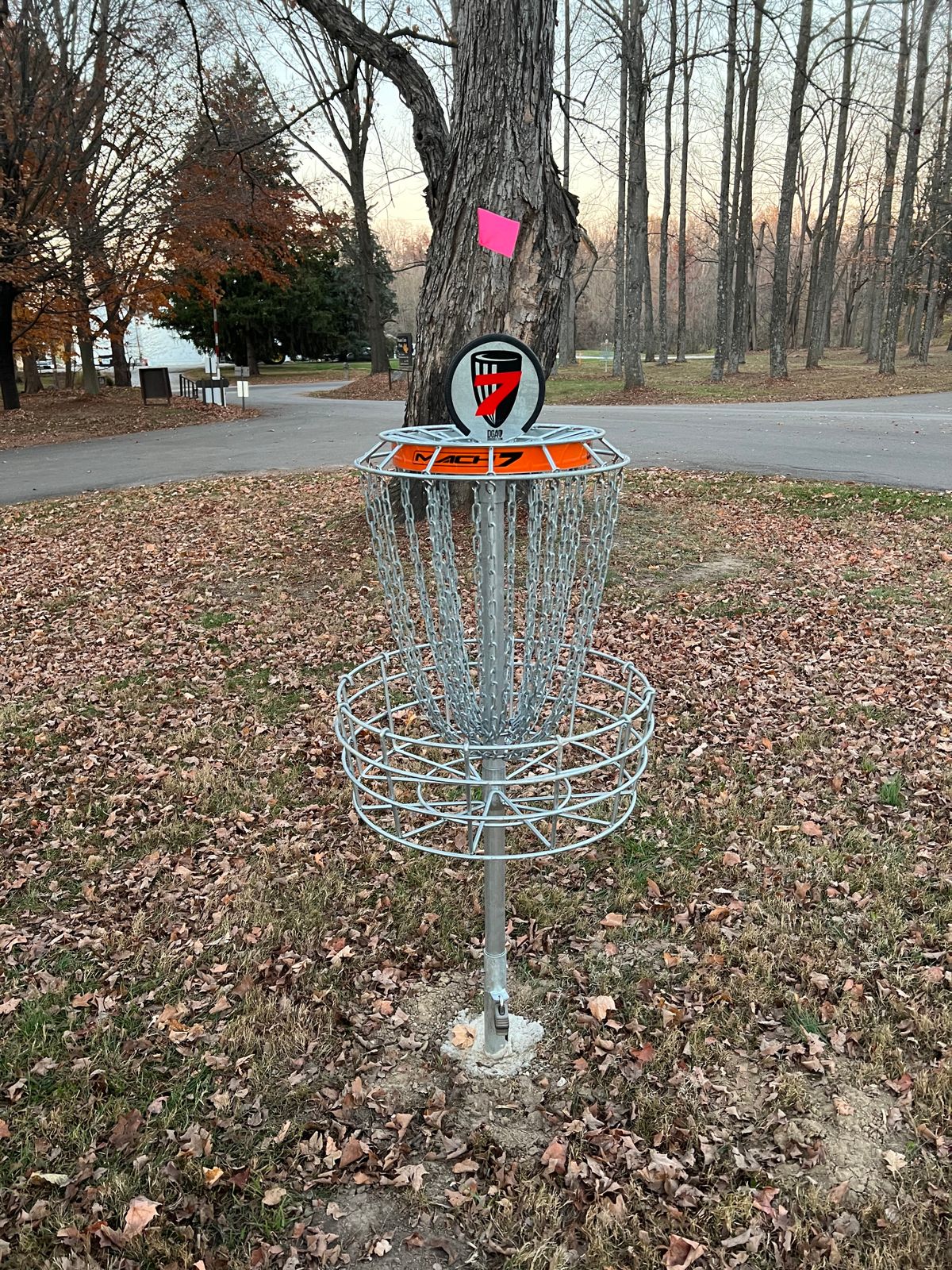 Hole #7 Basket