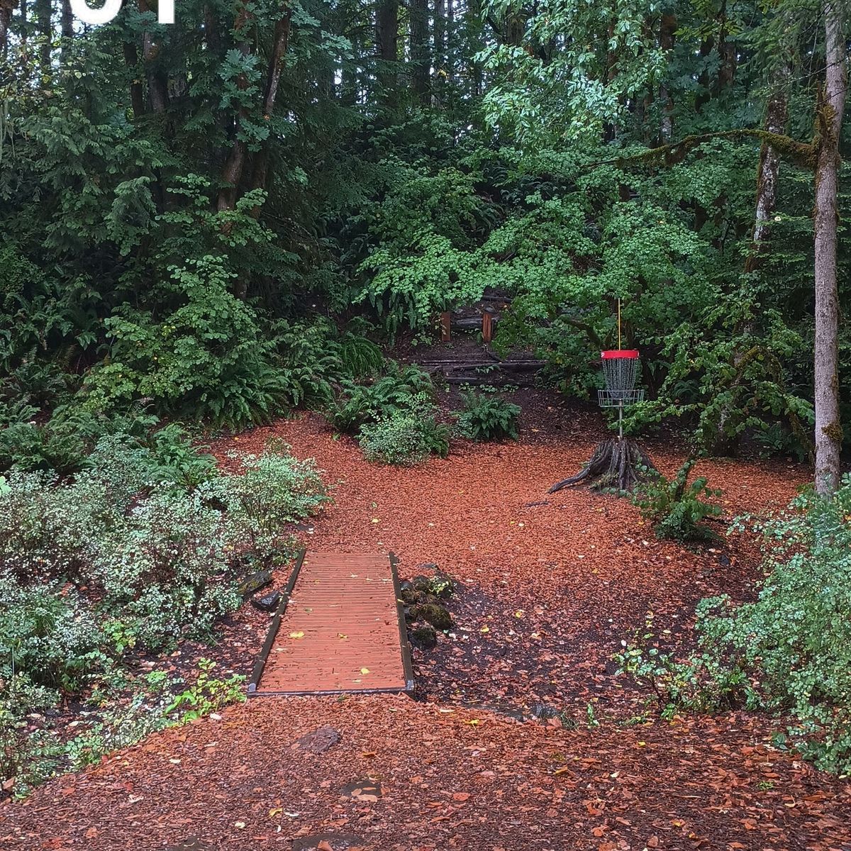 Hole 5 East Course