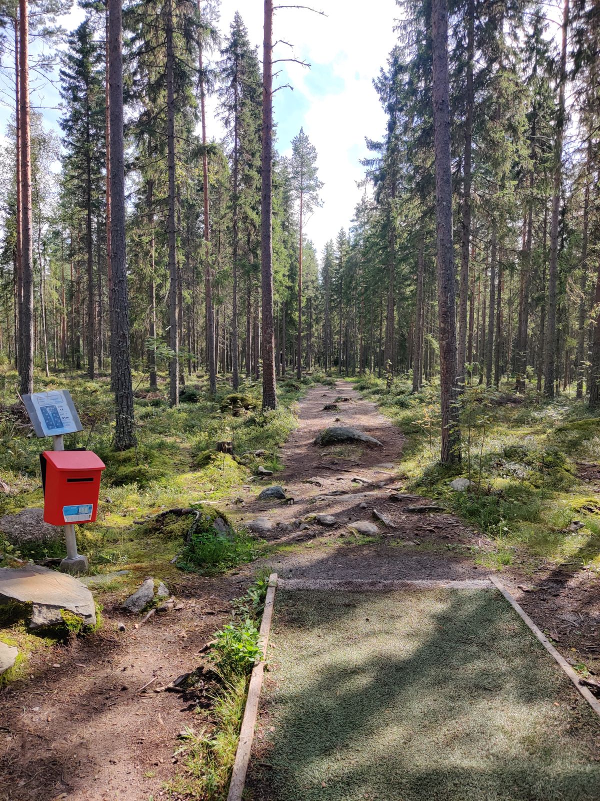 Väylä #14. Alkaa hyvin mutta muuttuu hyvin mutaiseksi koria lähestyessä