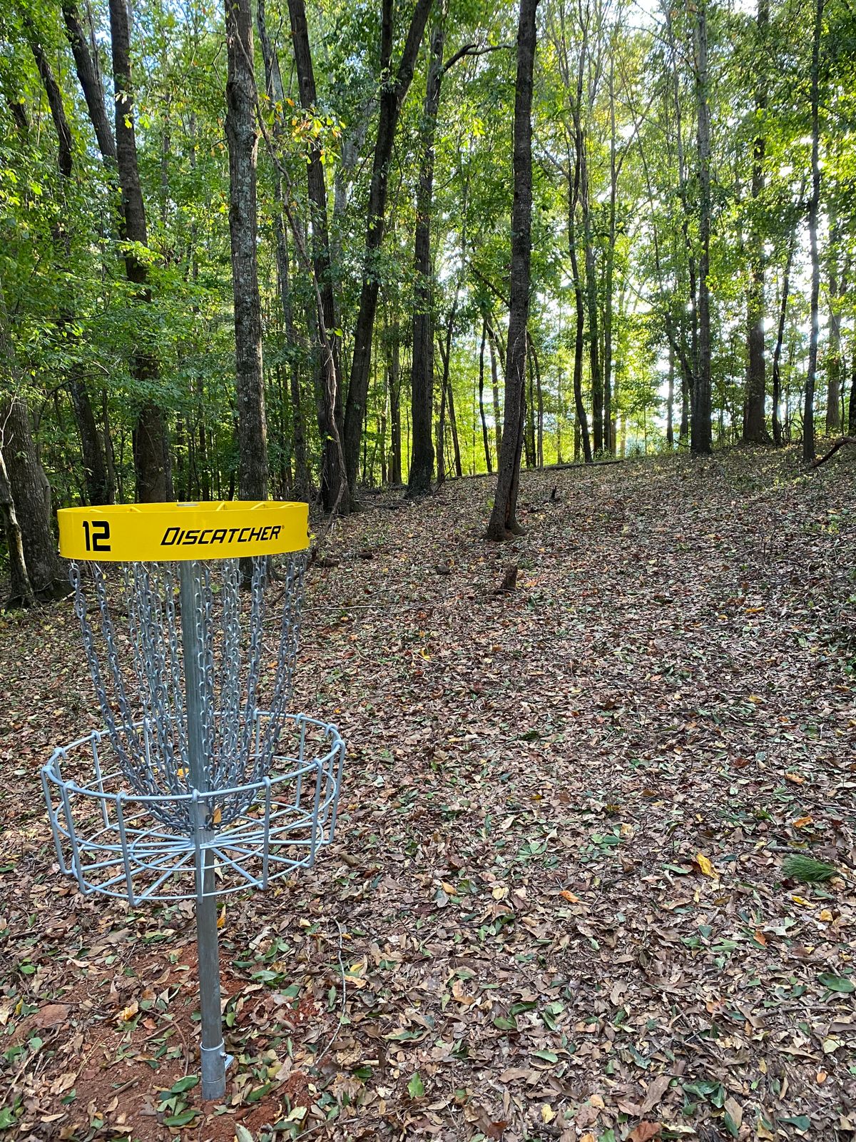 Hole 12 Basket