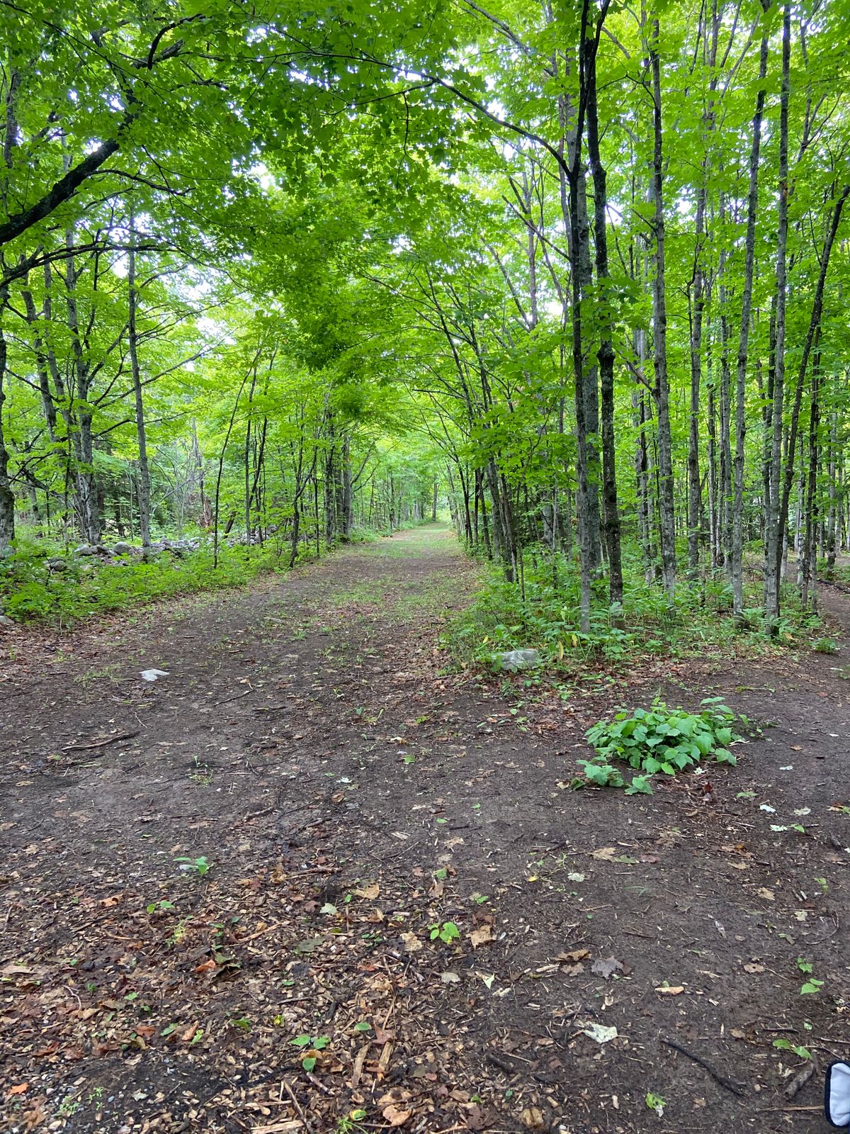 This is hole 3, basket is tucked in on the bottom of the hill on the right side
