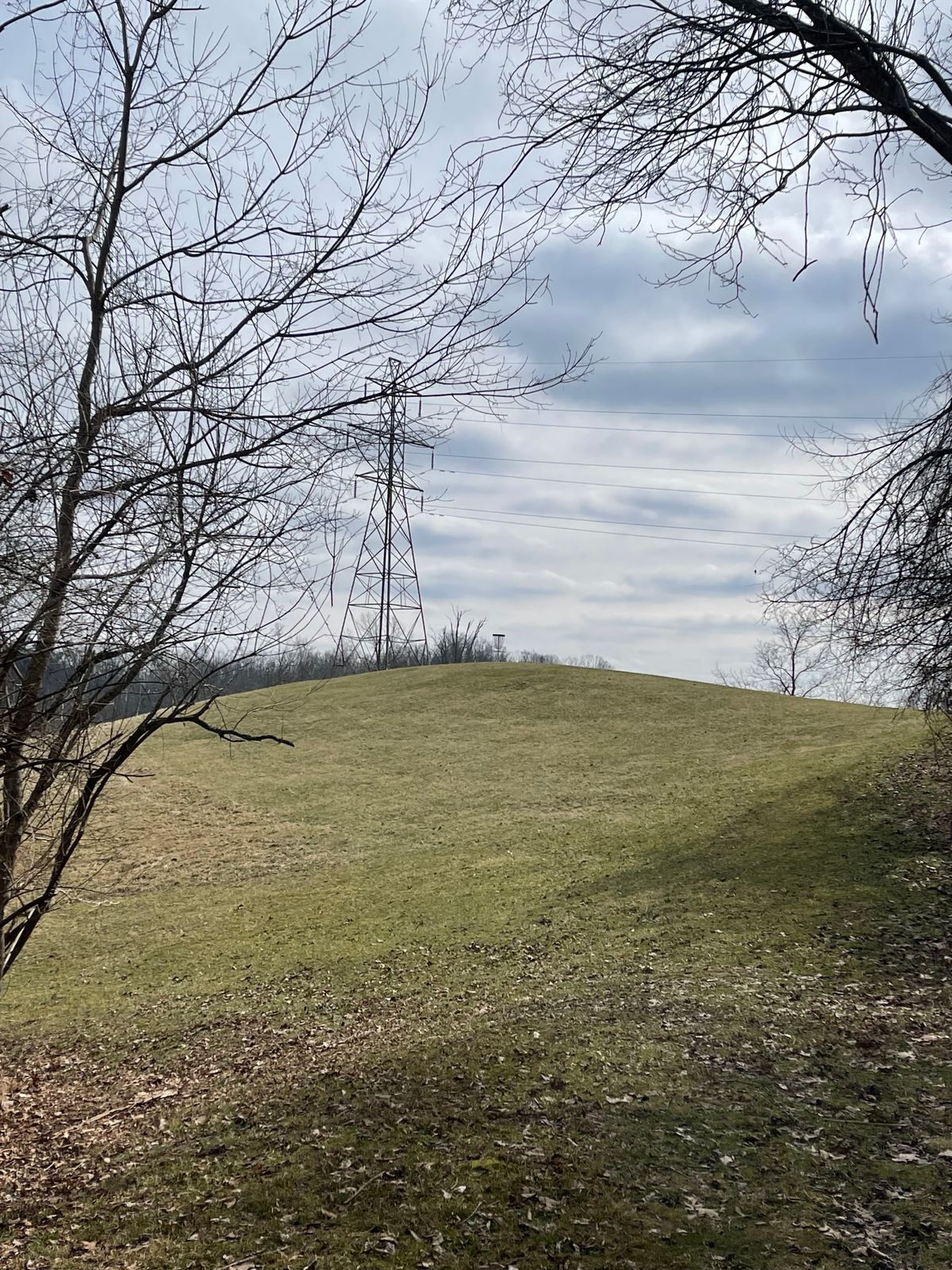 Hole 4 (Fairway)