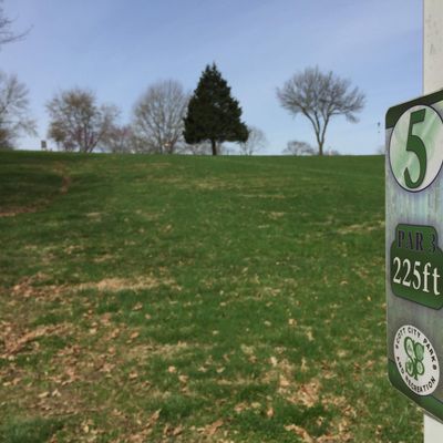 Hole 5 - Uphill with a large tree to the right of the basket.