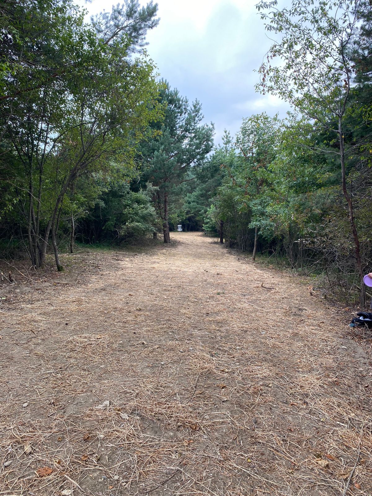 #6 fairway