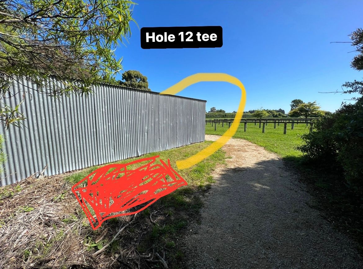 Hole 12 tee