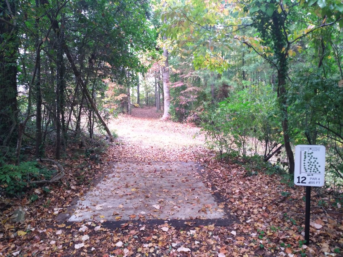 tee box and into the fairway tunnel. 