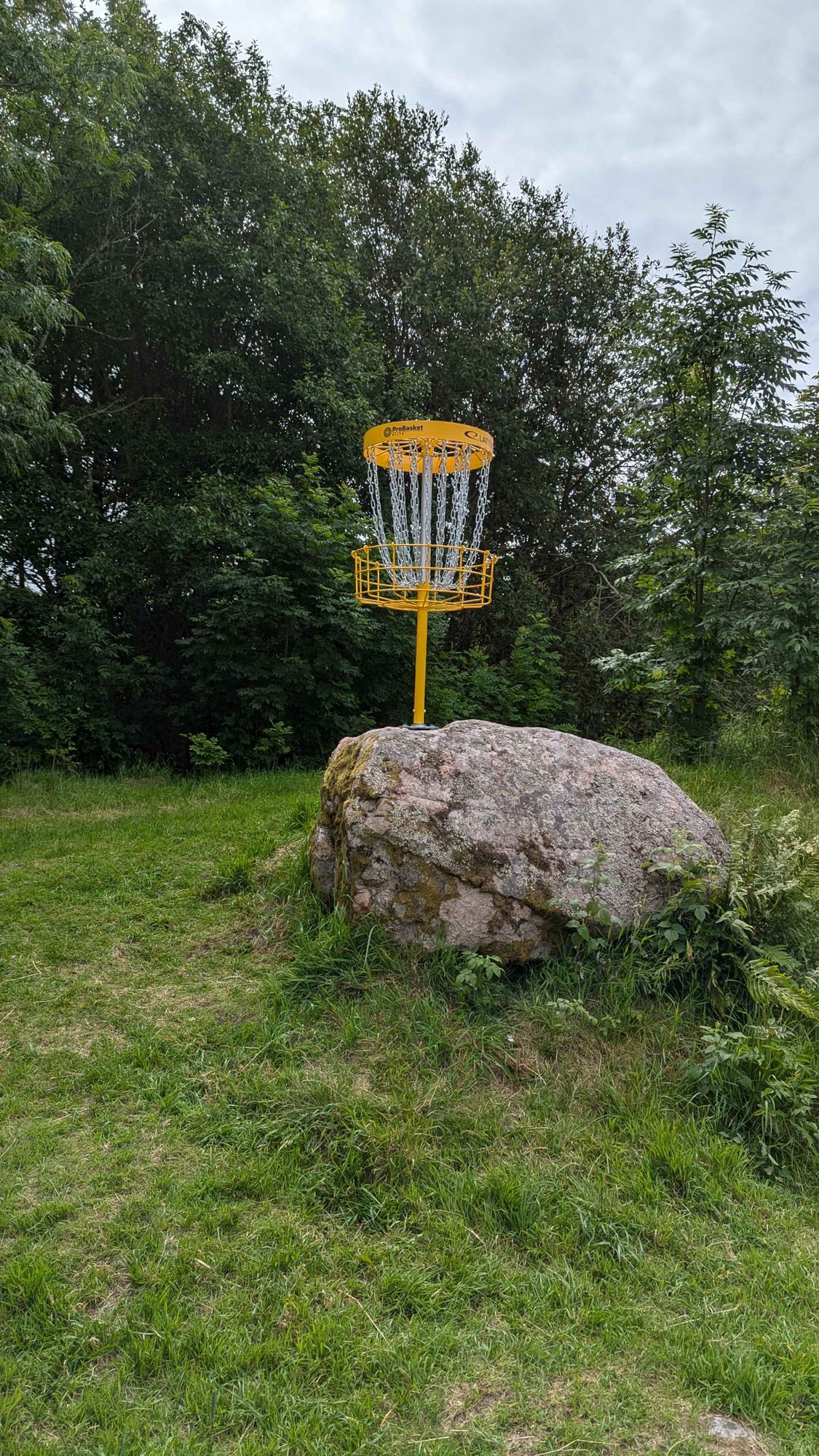 Hole 1, raised basket