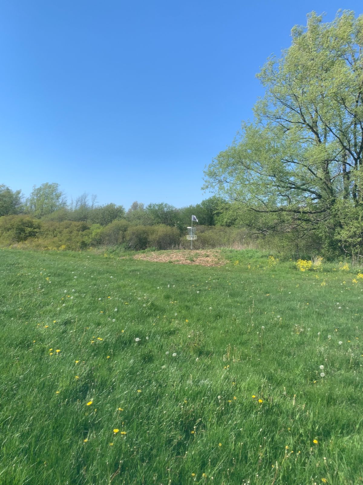 Hole 5 basket