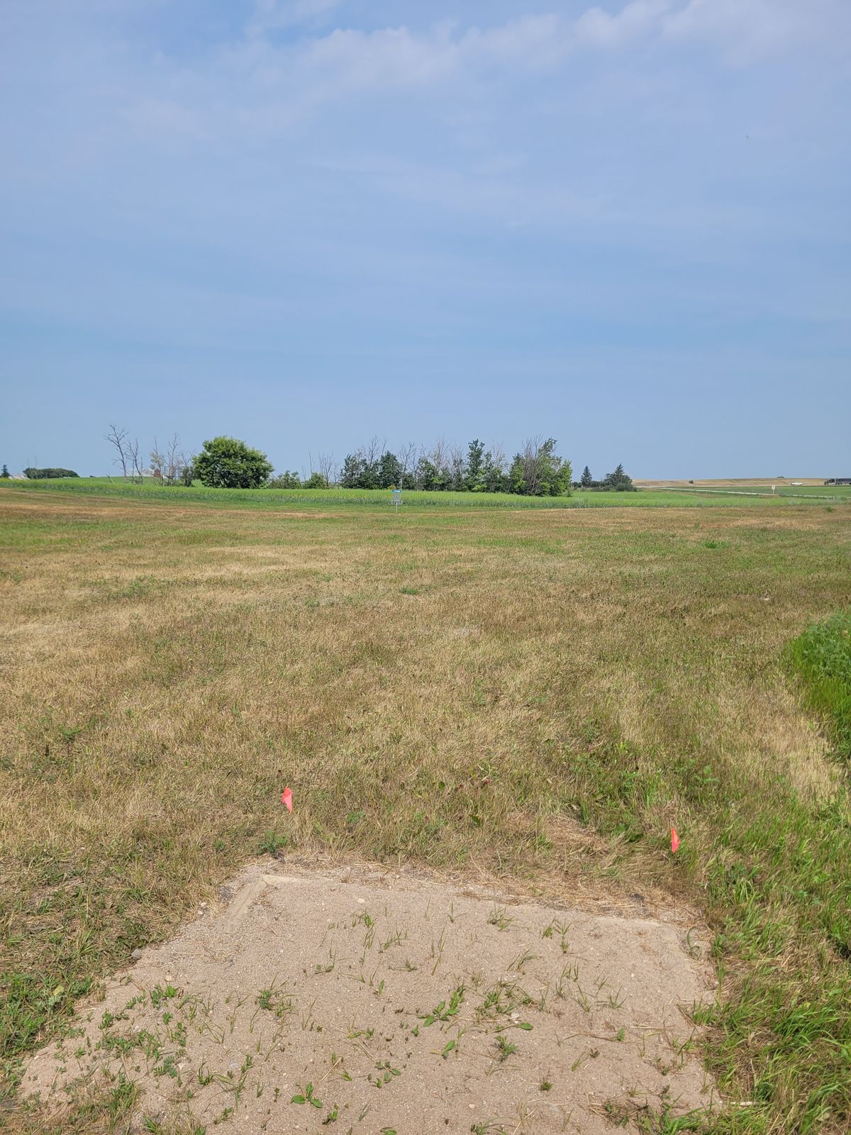 Tee #1 with Basket in distance