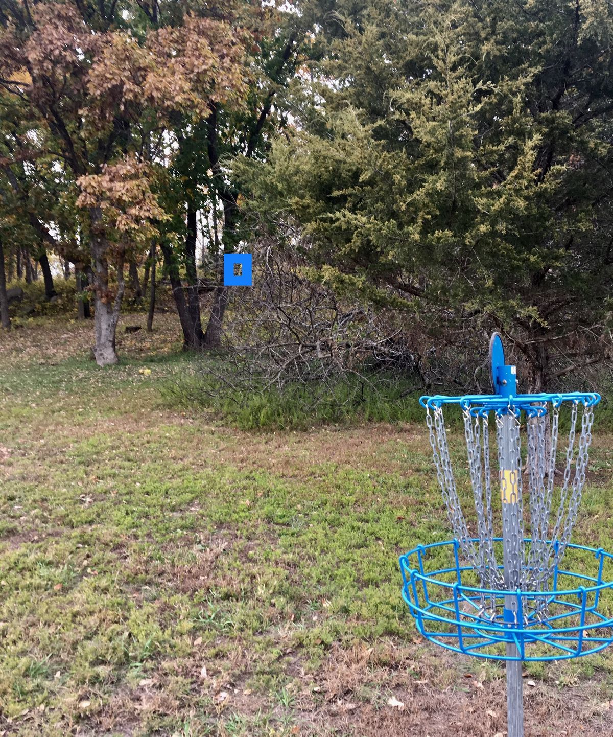 Hole 9 Basket to Tee (Short)