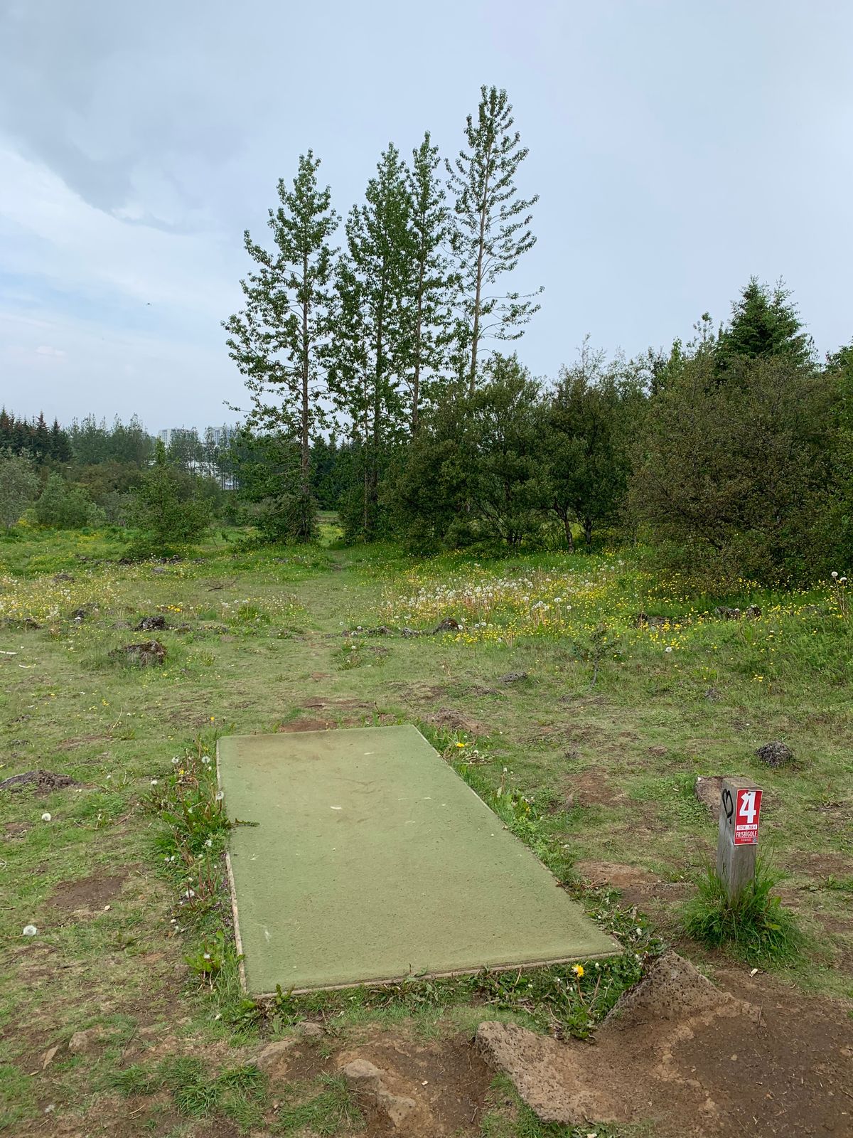 Hole 4