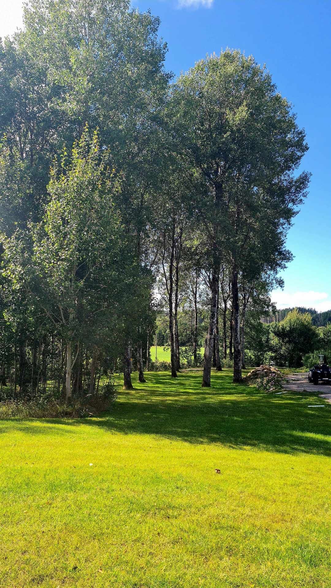 Vy från korgen på hål 3. Mot tee