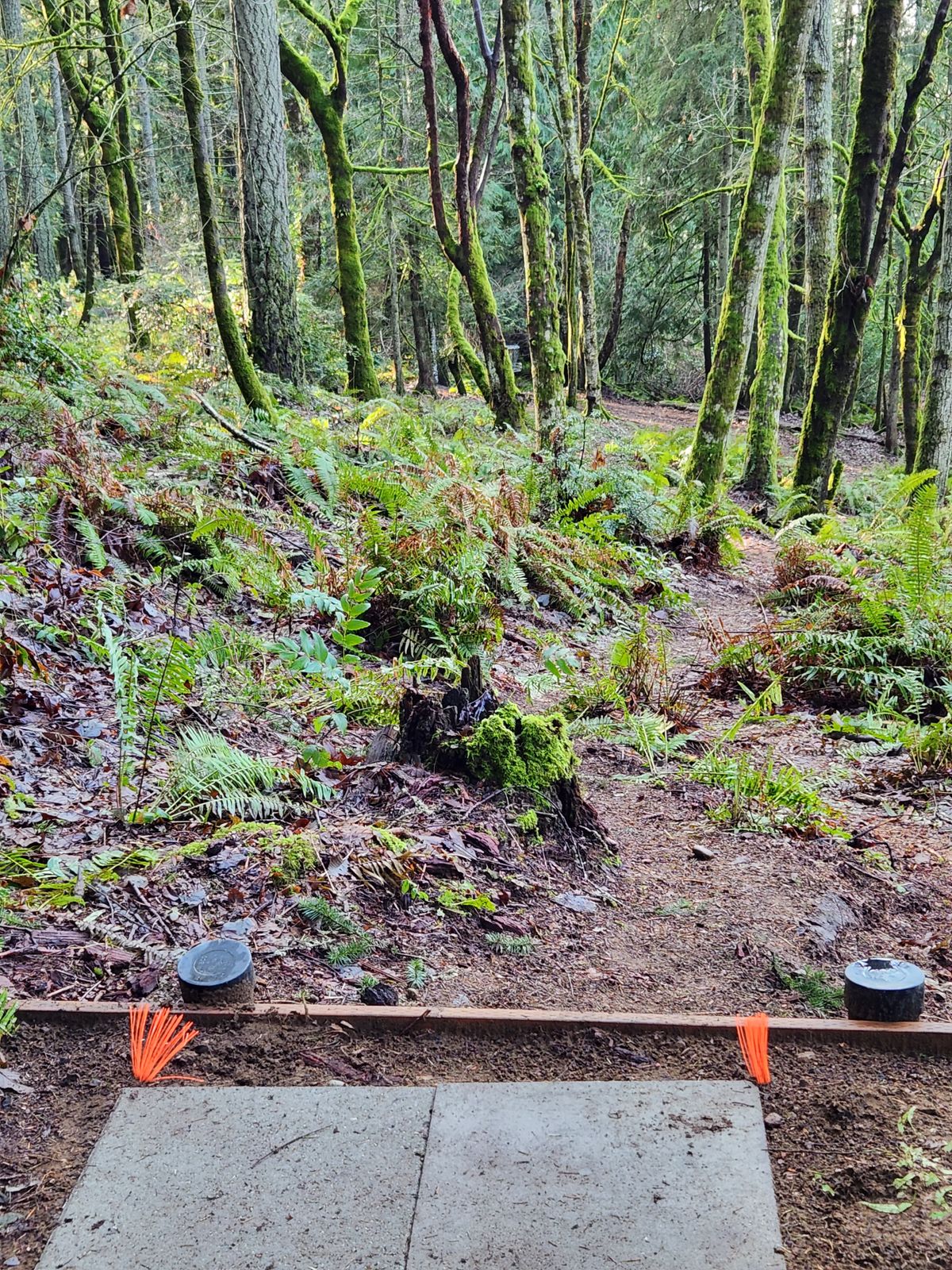 Hole 6 - Red Tee