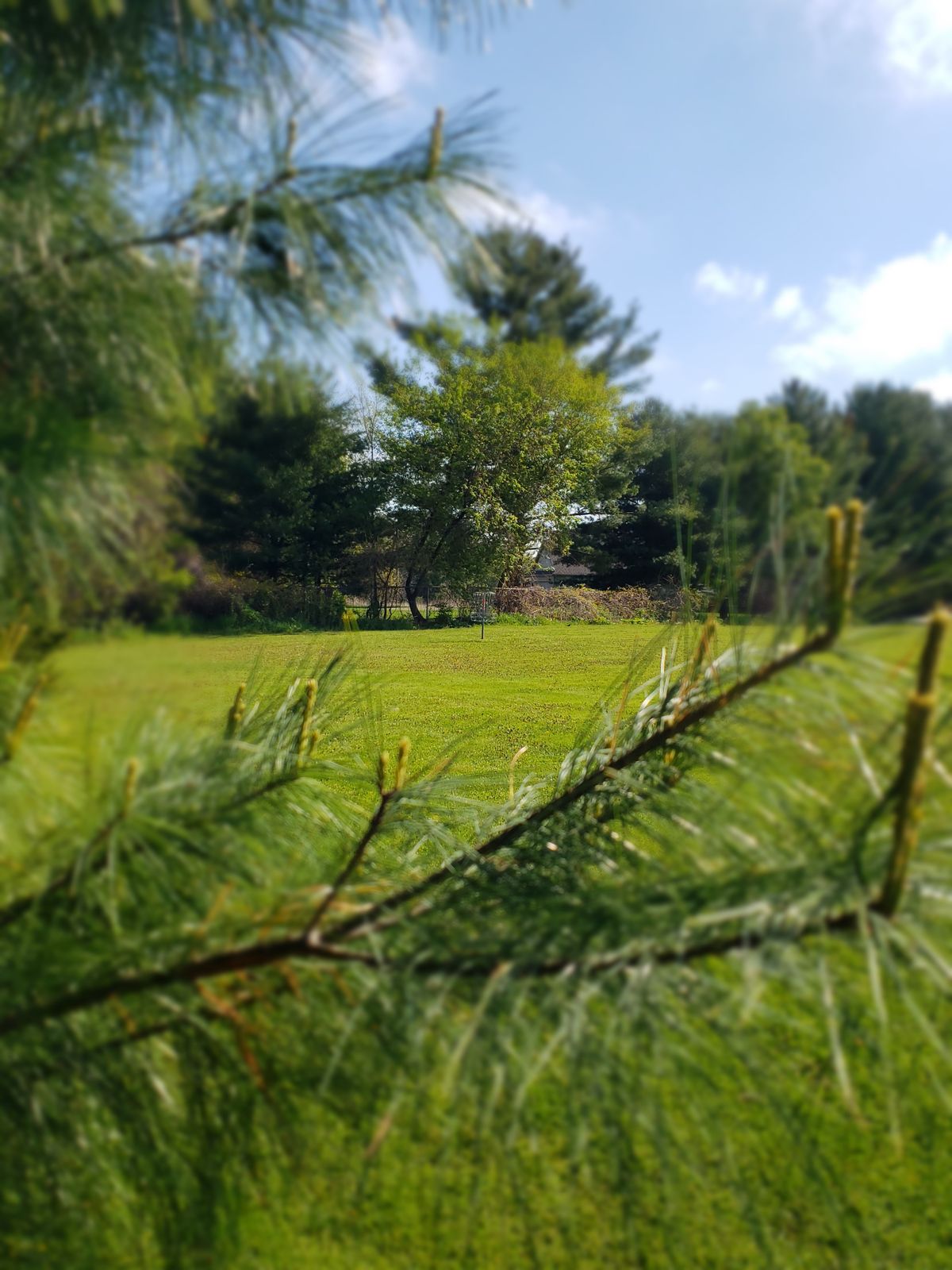 Hole 1