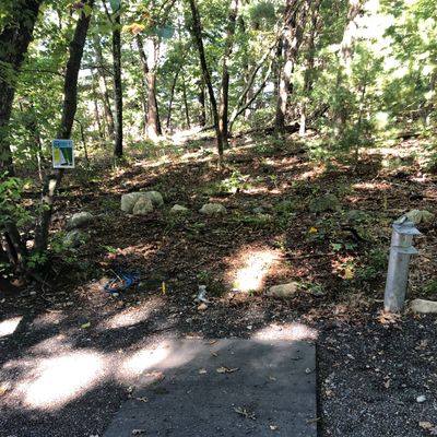 Hole 11 Tee