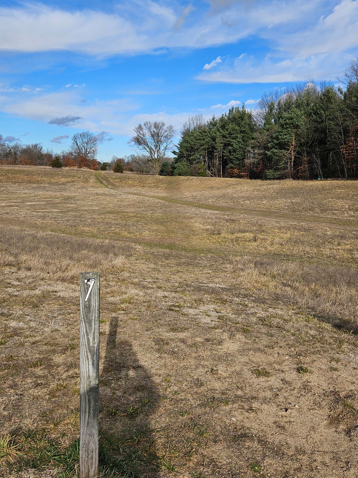 Hole 7, basket is just left/North of big tree over the hill