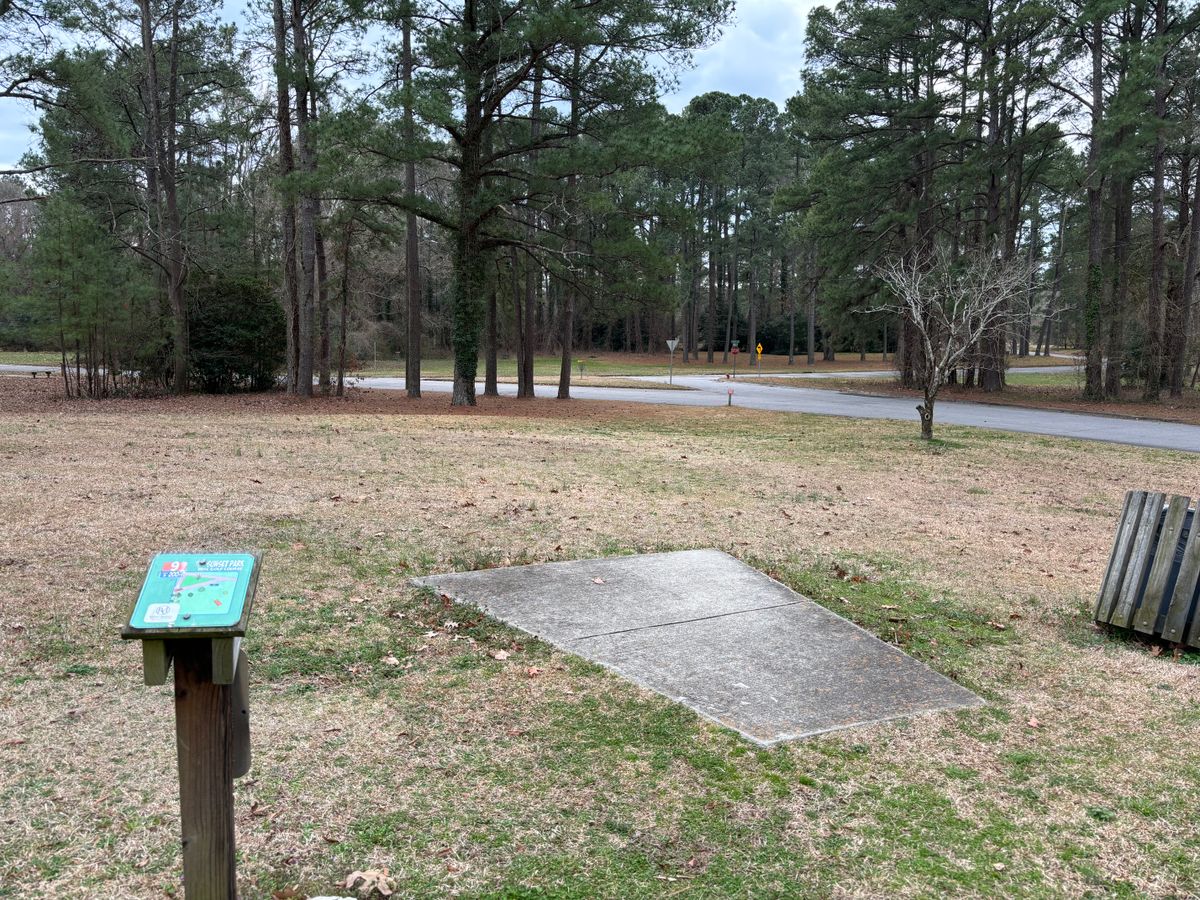 Hole 9 shorts