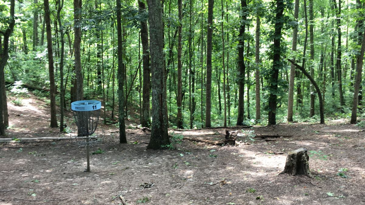 Hole 11