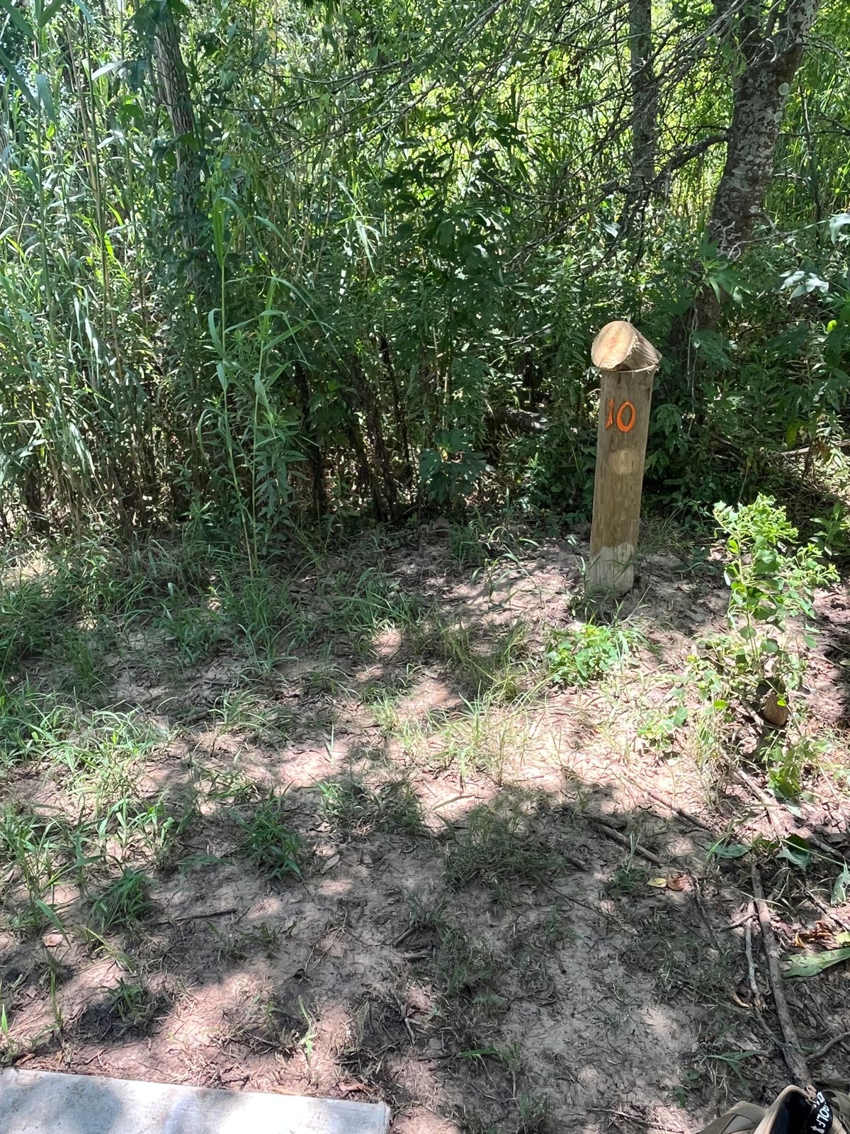 Hole 10