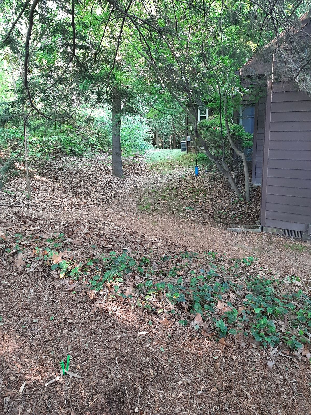 Hole 22 Gold Tee