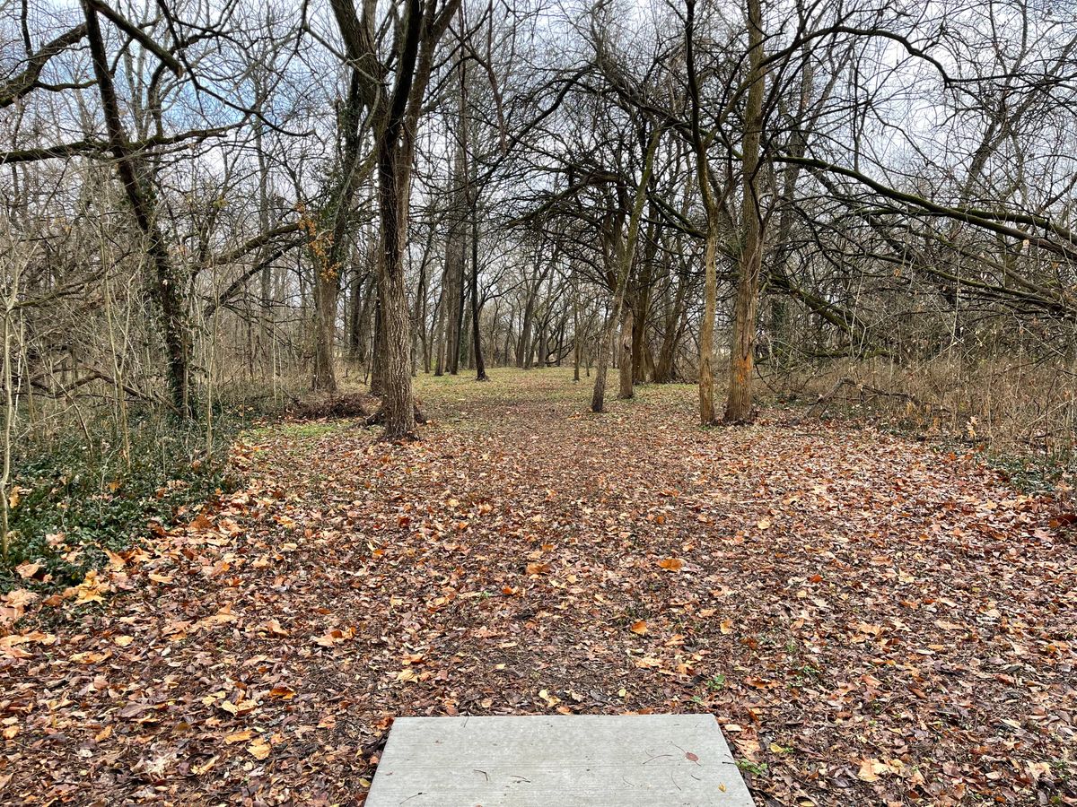 Hole 5