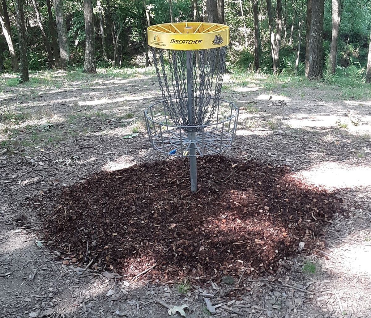 Hole 14 basket