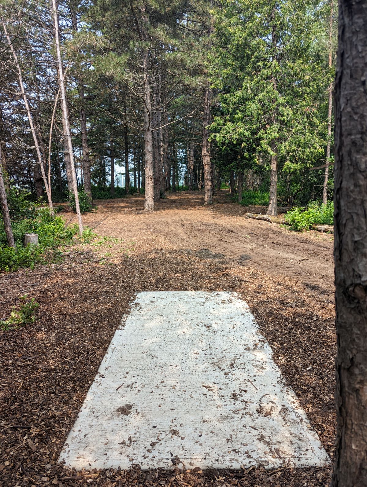 Hole 7 Long