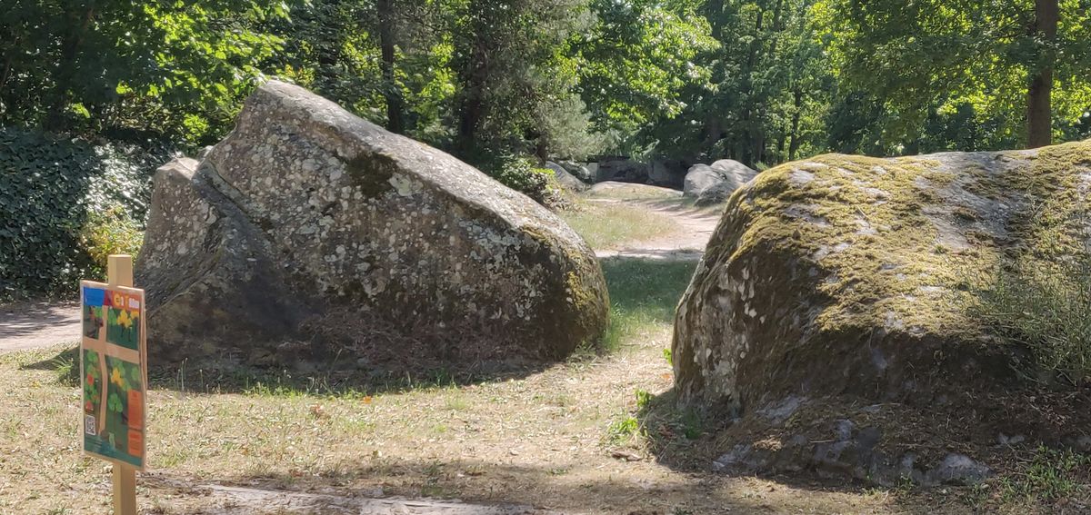 Hole 5