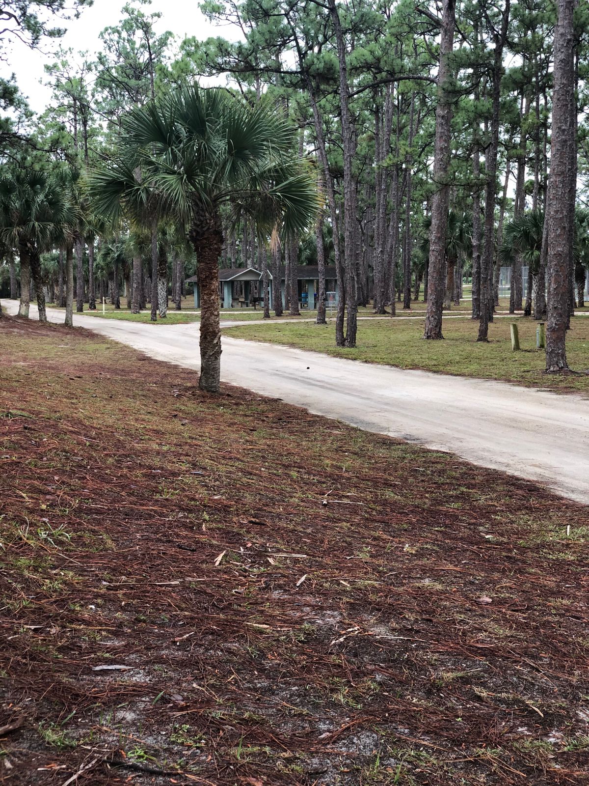 Hole 7