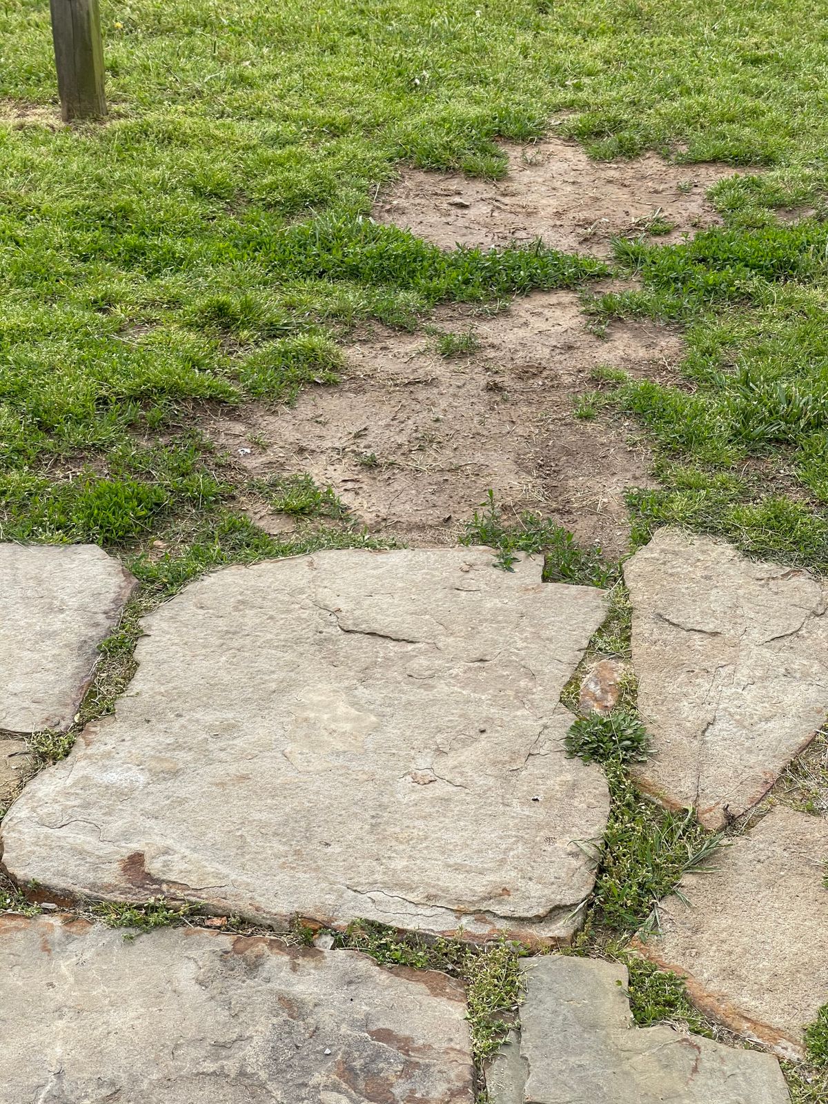 Hole 1 Pad- all other dirt