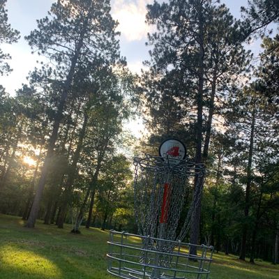 View of hole 4 basket.