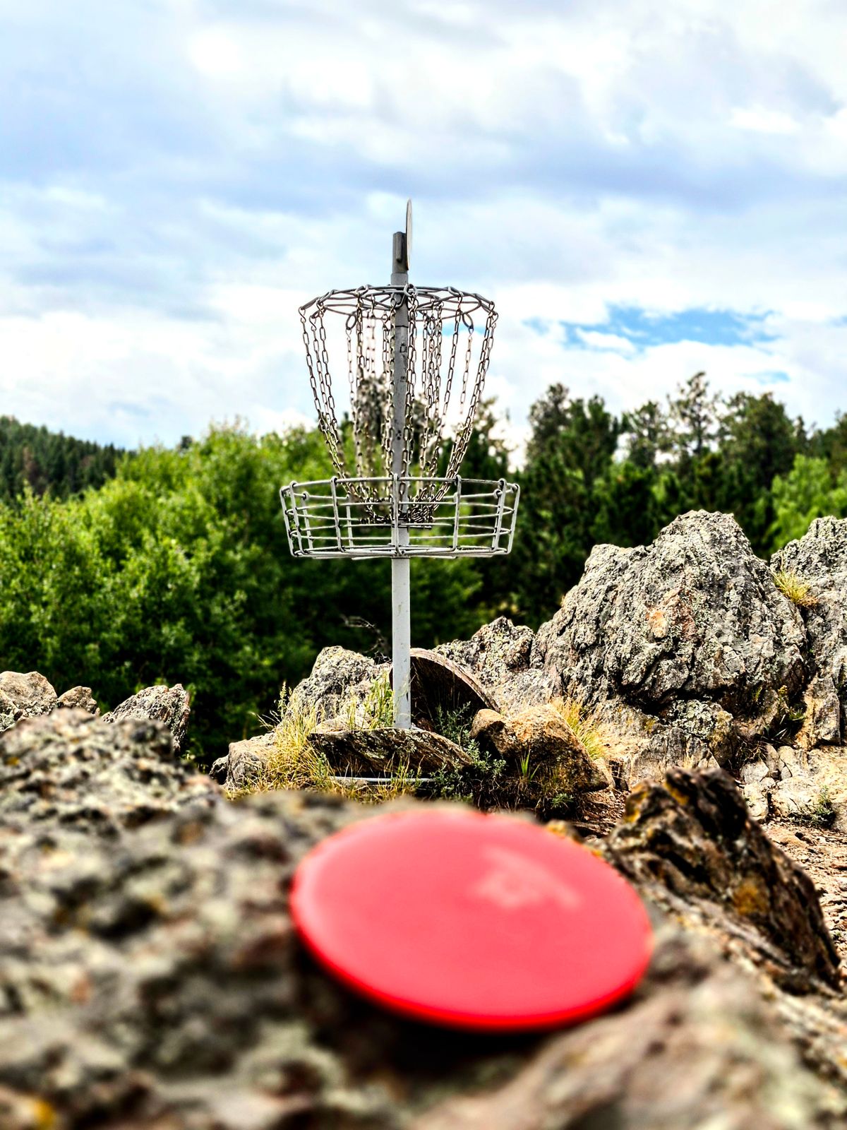 hole 12 basket