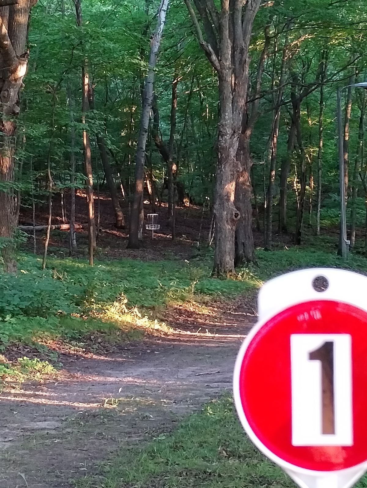 Hole 1 shorts