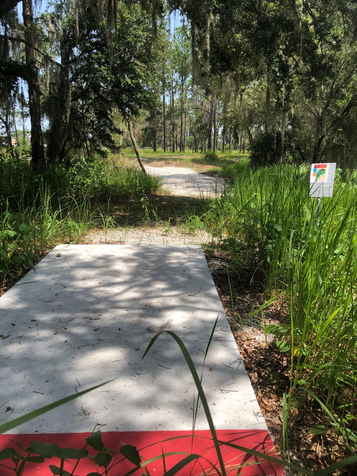 Hole 12 Red Pad