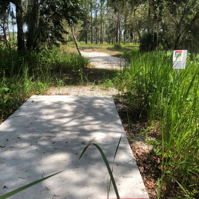 Hole 12 Red Pad