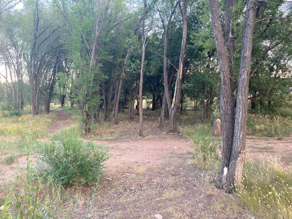 Hole 2 from the tee
