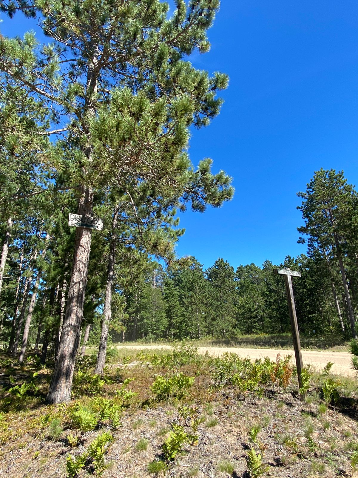 Make a left turn here at the disc golf sign after you turn off of H58.