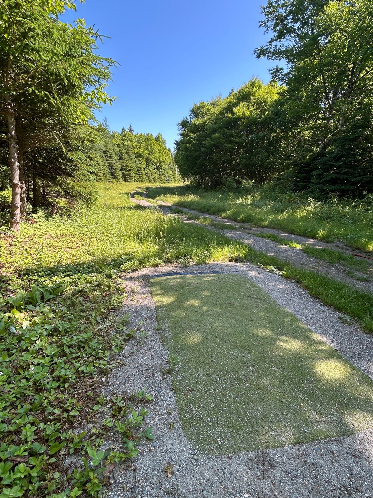 8 White fairway.