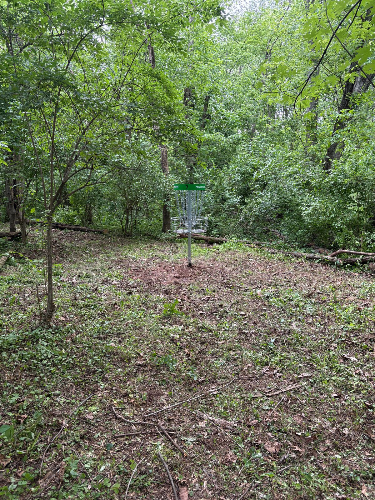 Hole 6