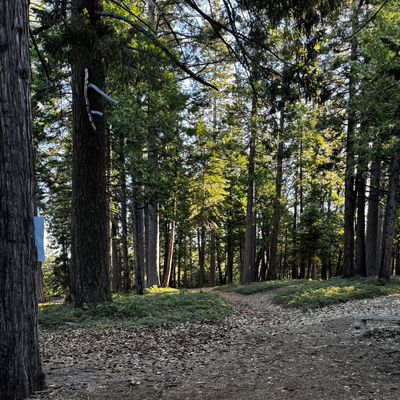 Tee of hole 16