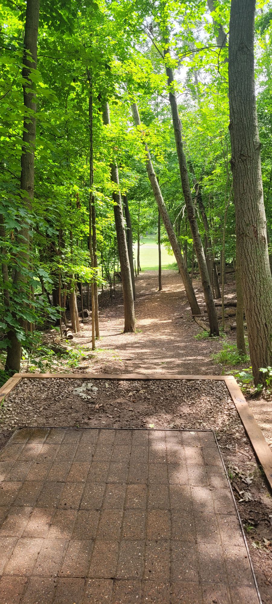 Hole 8
