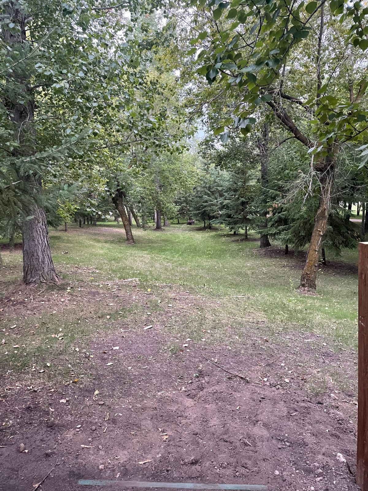 Tee 9
