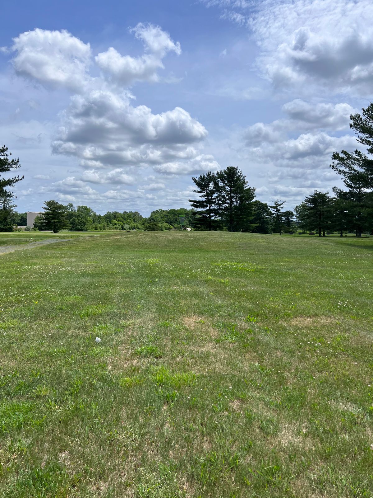 Hole 3 basket