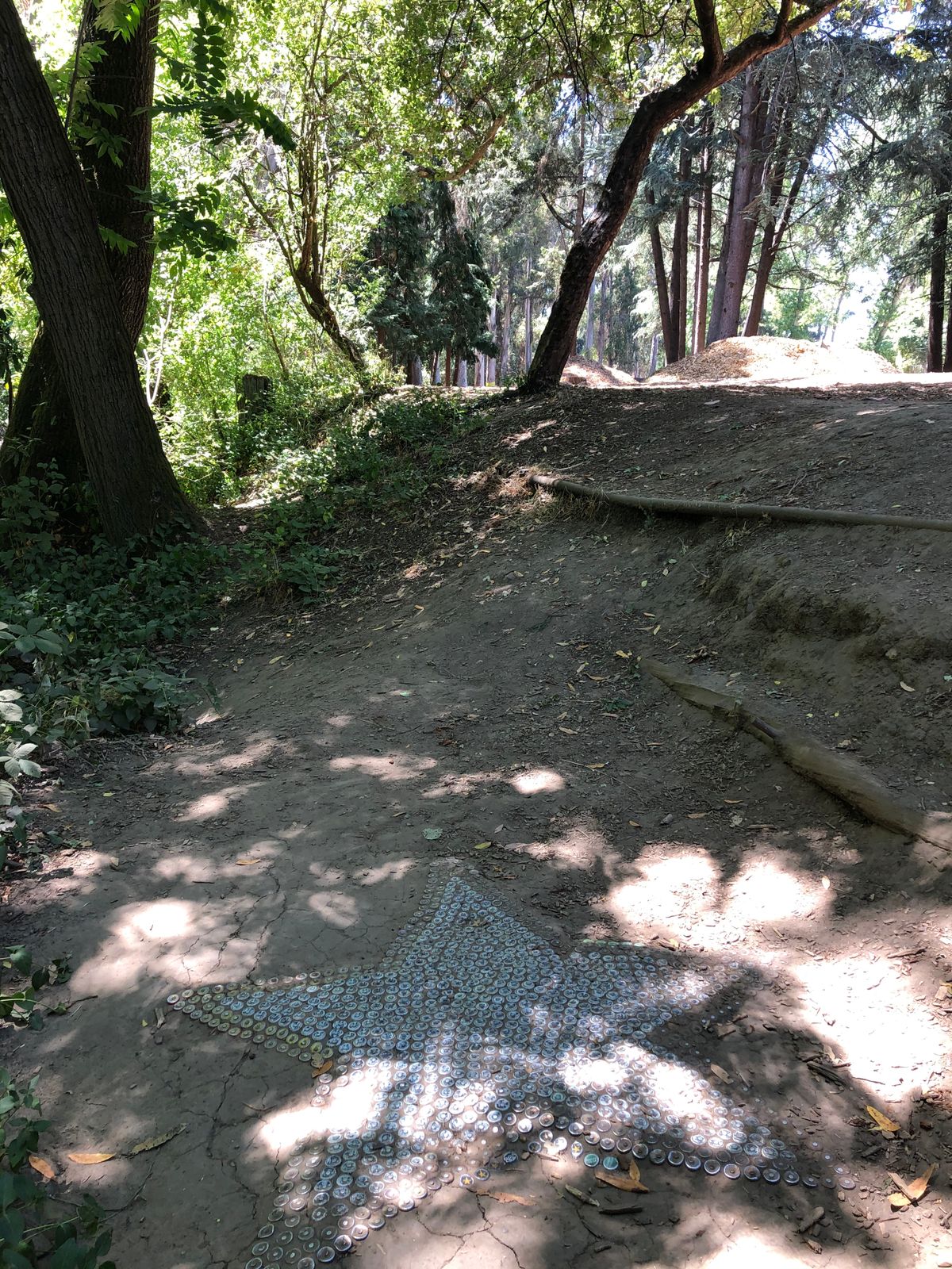 Star Tee Box at #7
