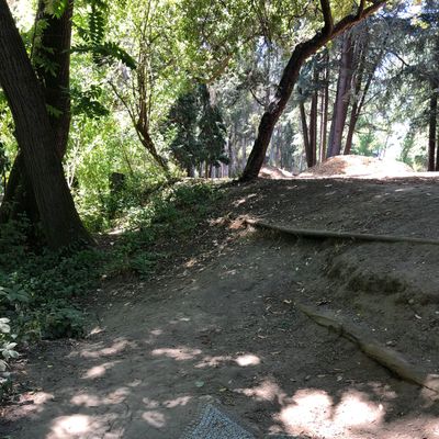 Star Tee Box at #7