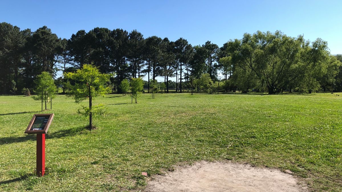 Hole 8