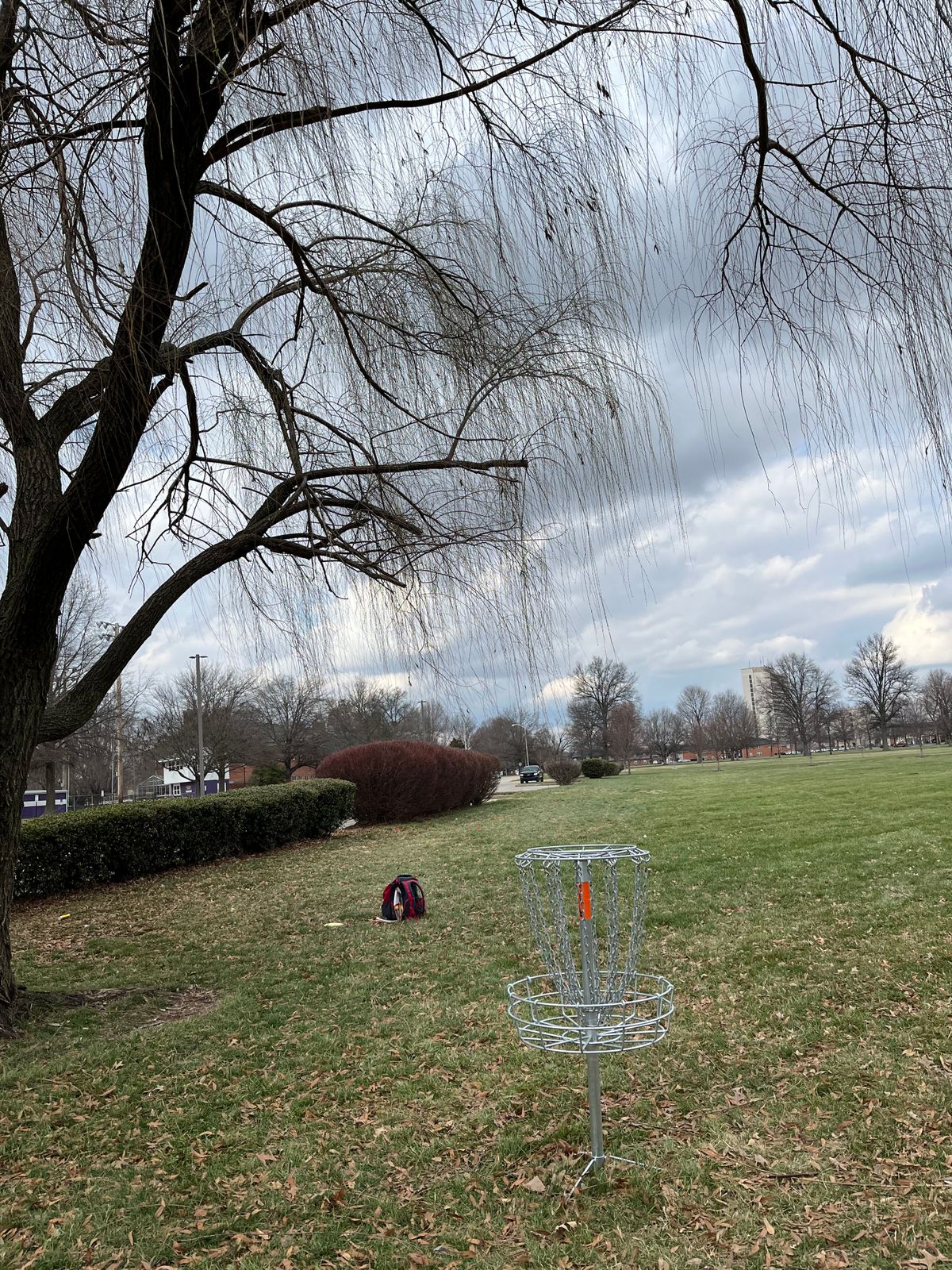 Hope 7 green