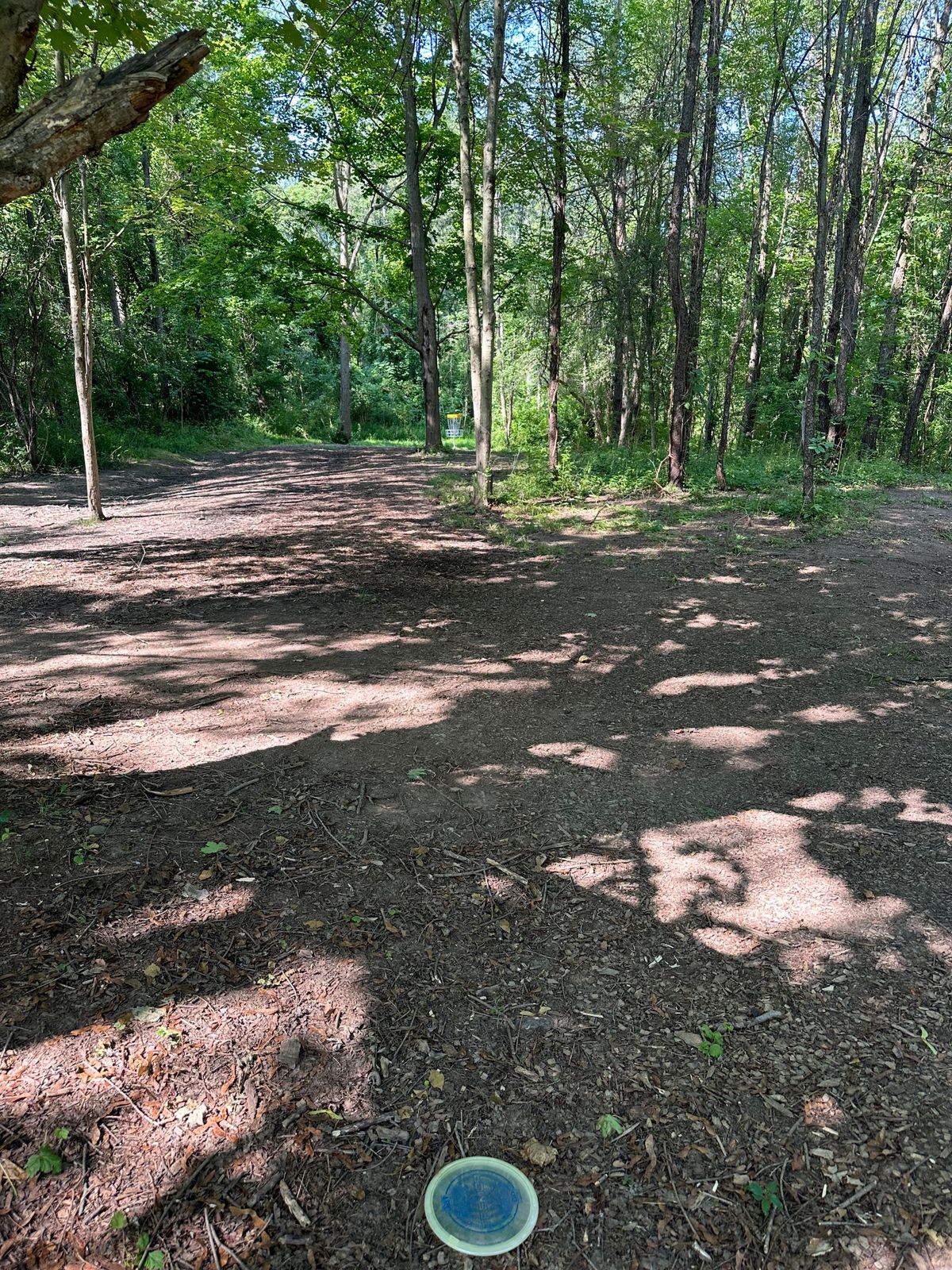 Hole 14 approach