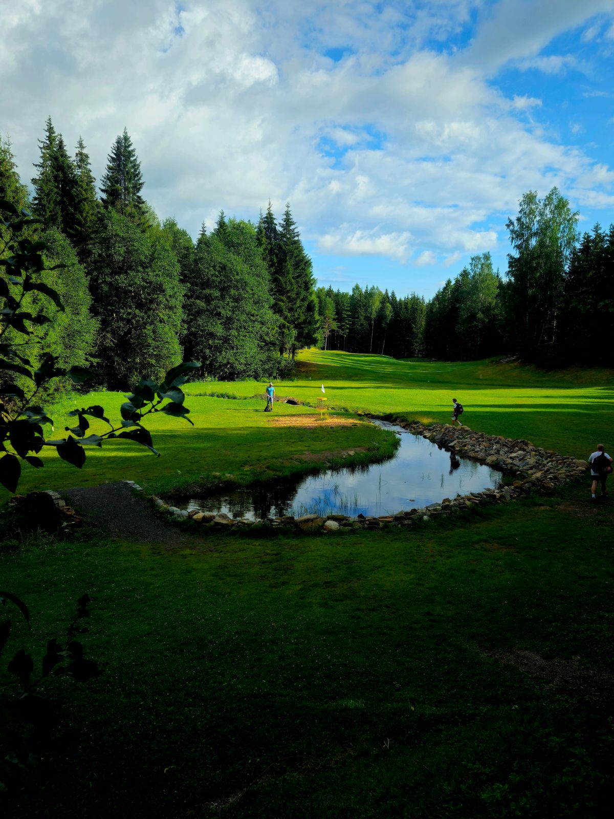 Green of 17